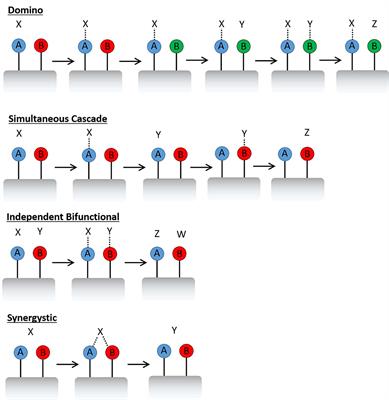 Designing Multi-Dopant Species in Microporous Architectures to Probe <mark class="highlighted">Reaction Pathways</mark> in Solid-Acid Catalysis